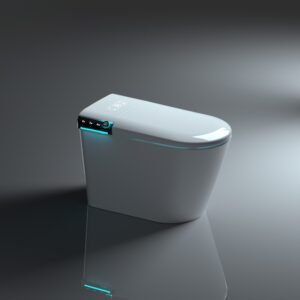 douche wc