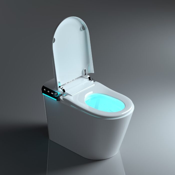 Japans toilet