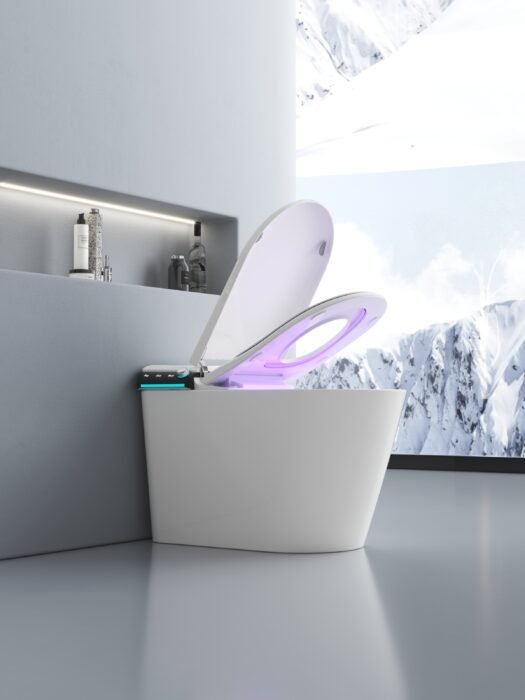 staand topline toilet